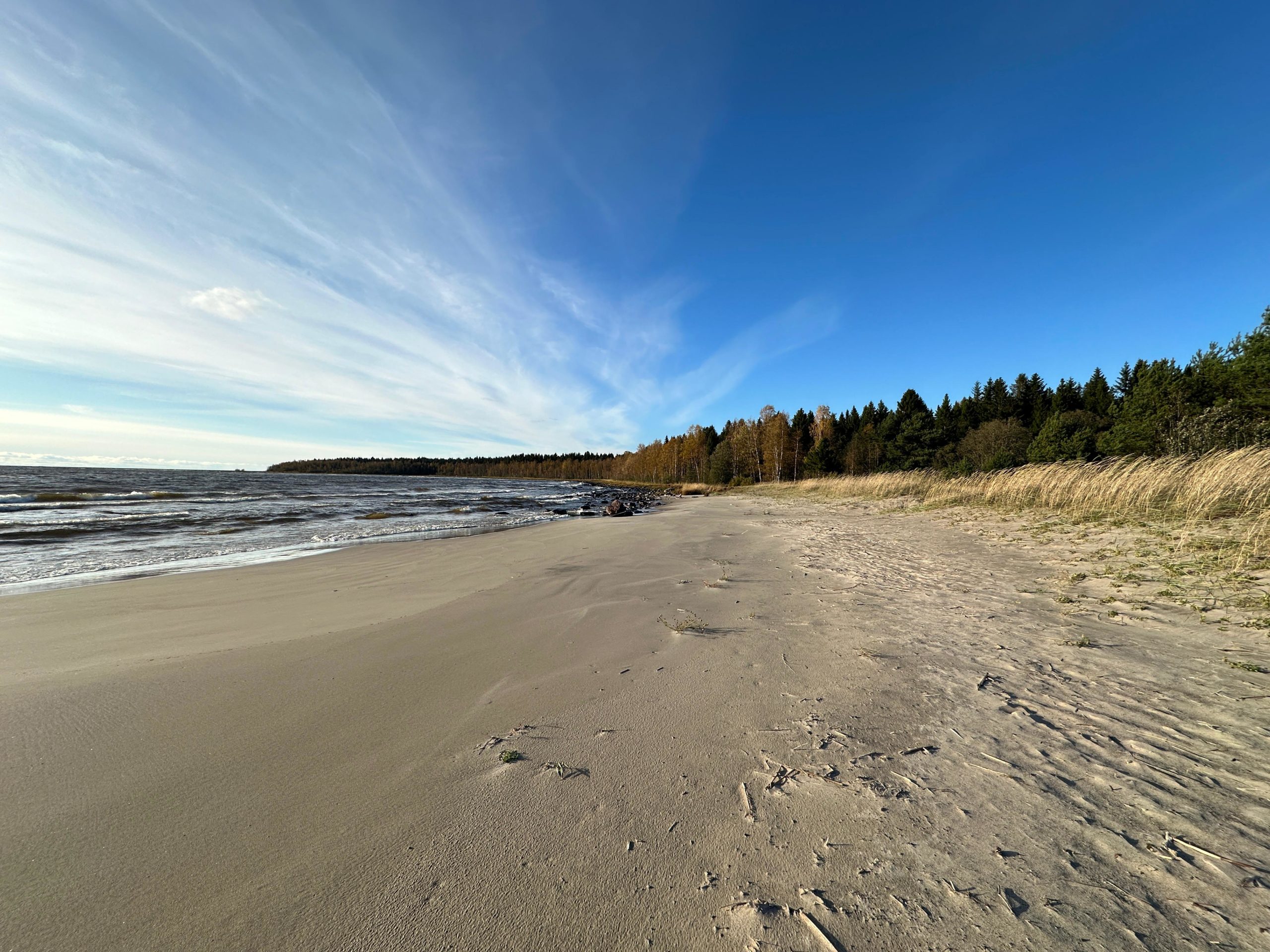 Tuore Kuvap ivitys Longoinlahdelta 14 10 2023 Mantsinsaari Seura Ry