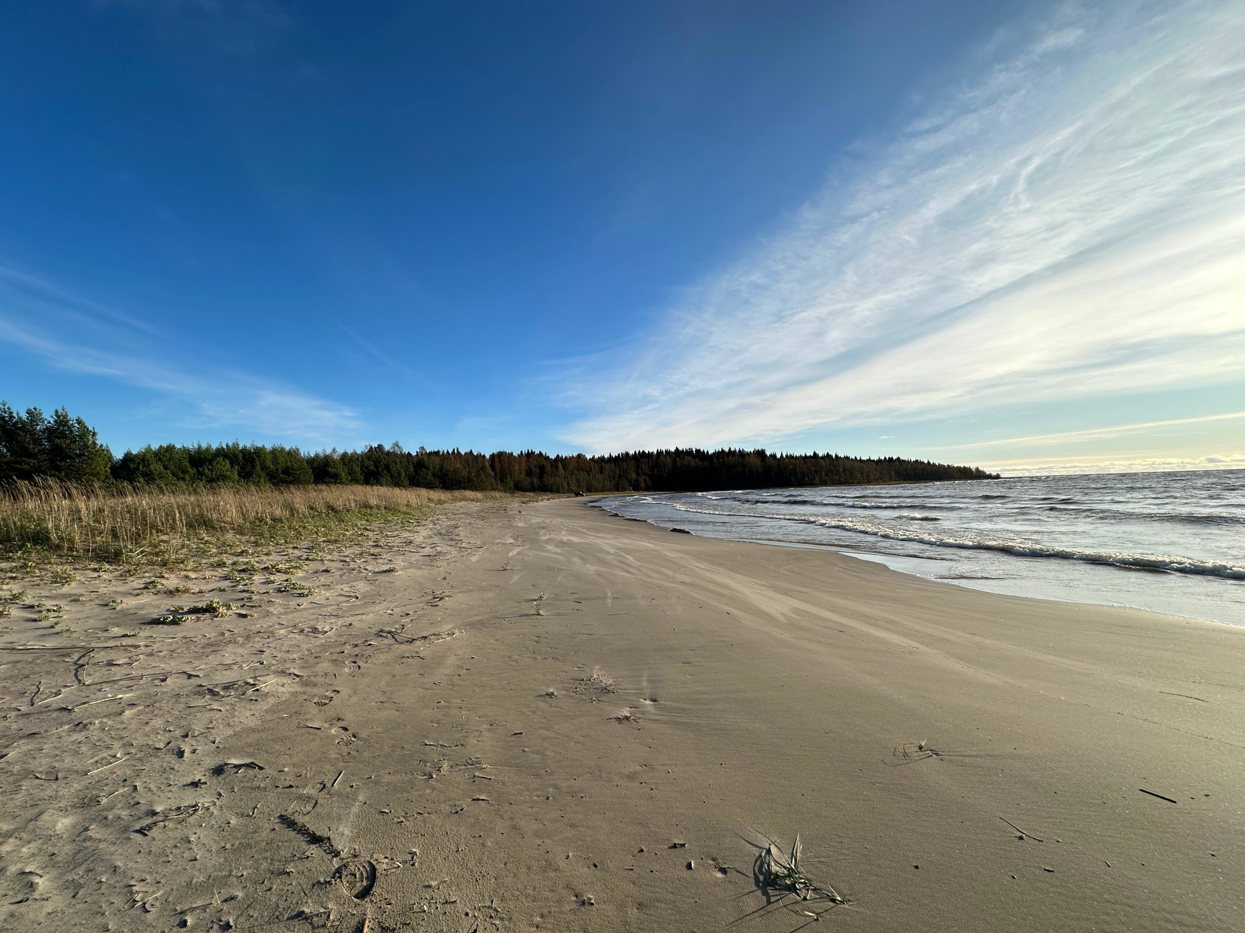Tuore Kuvap ivitys Longoinlahdelta 14 10 2023 Mantsinsaari Seura Ry